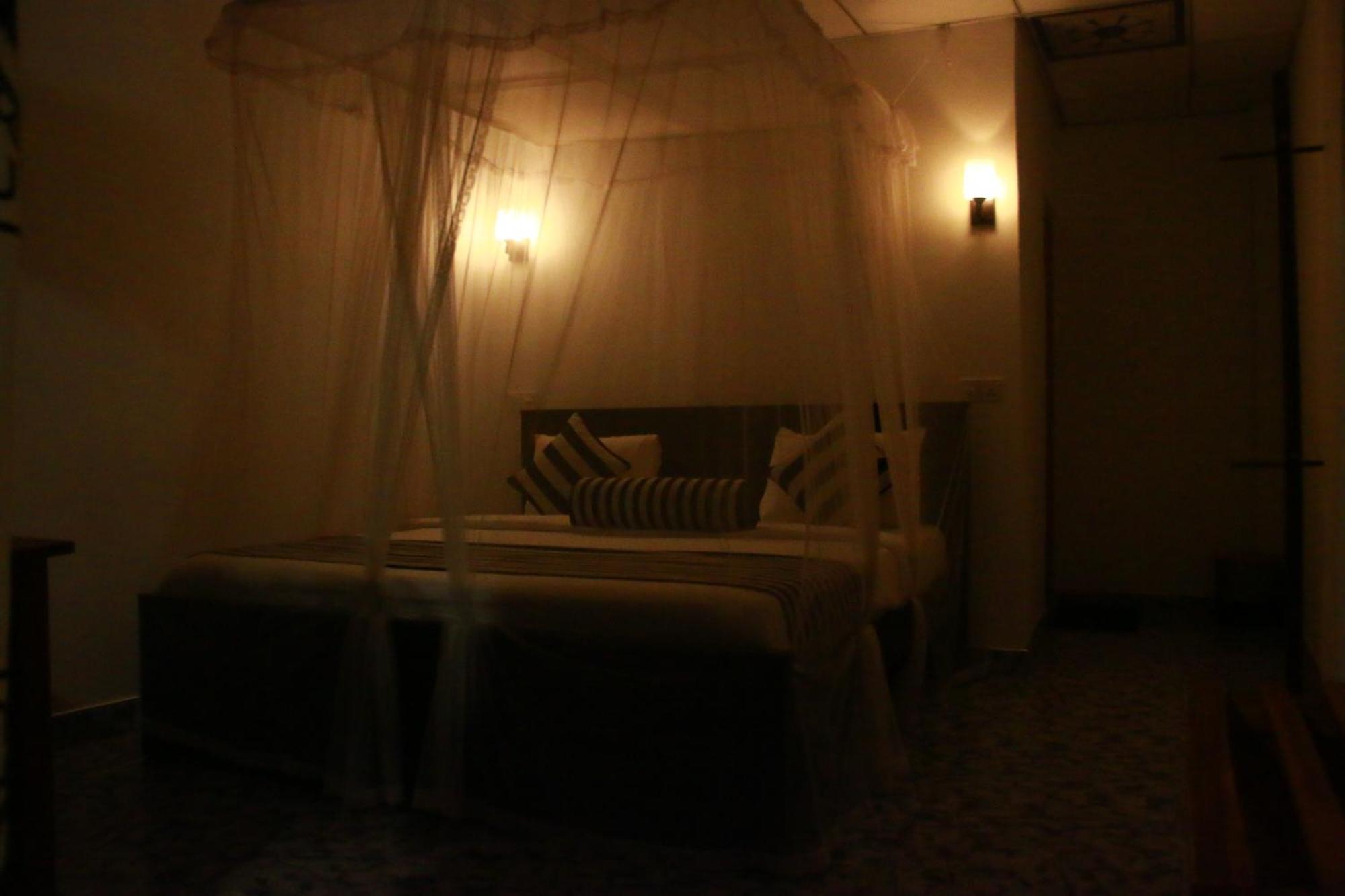 Different View Bed & Breakfast Ела Екстериор снимка